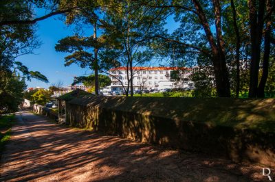 O Aqueduto da Mata