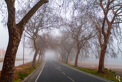 A Estrada da Foz