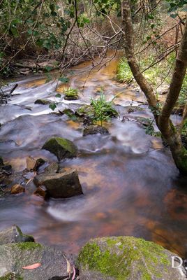 Ribeira de Moel