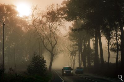 Serra do Bouro