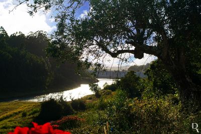 Ribeira de Alvorninha