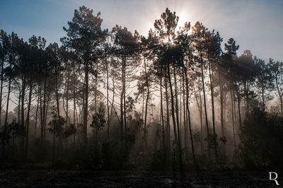 Serra do Bouro