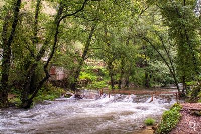 Ribeira de Alge