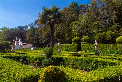 Parque Municipal do Bombarral