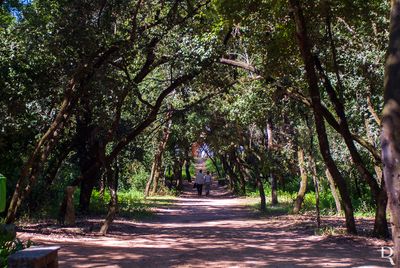 Parque Municipal do Bombarral