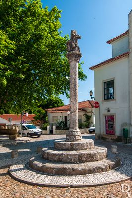 Cronologia: 1316, 01 Abril - concessão do primeiro foral, dado pelo abade de Alcobaça, pois Aljubarrota era uma das 14 vilas dos coutos do Mosteiro; 1514, 01 Outubro - D. Manuel concede-lhe foral novo, em Lisboa, em 01 de Outubro; séc. 16, 1º quartel - data provável de construção do pelourinho; 1712 - é da Comarca de Leiria e tem 450 vizinhos; pertence aos frades do Mosteiro de Alcobaça; (...)
Isabel Mendonça (excertos), in http://www.monumentos.gov.pt/Site/APP_PagesUser/SIPA.aspx?id=1786