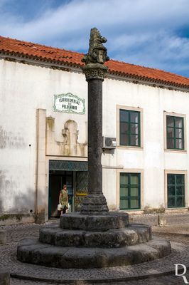 Alcobaça, Aljubarrota.
Pelourinho quinhentista.
Proteção: Imóvel de Interesse Público.
Época de construção: Séc. 16 (conjetural).
Isabel Mendonça (excertos), in http://www.monumentos.gov.pt/Site/APP_PagesUser/SIPA.aspx?id=1786
