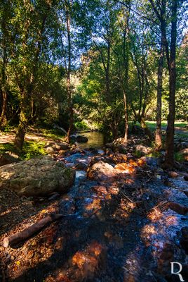 Ribeira de Alge