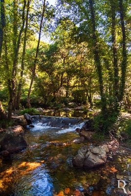 Ribeira de Alge