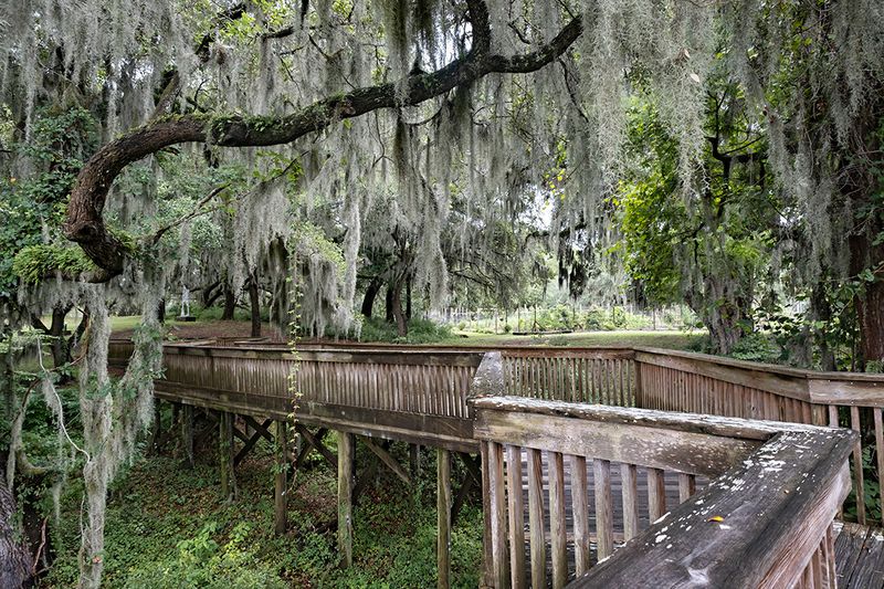 Brookgreen Garden Path