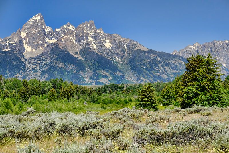 Grand Tetons 3