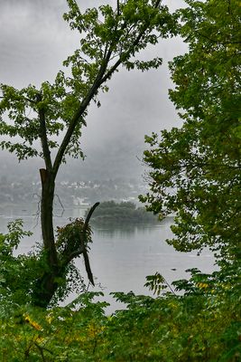 Fog along the Susquehanna