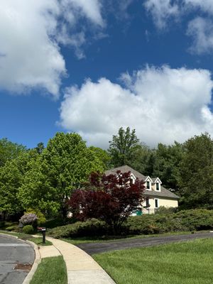 While walking the dog.