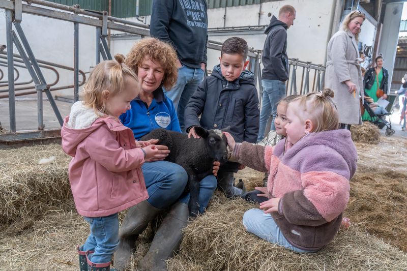 Lammetjes Speurtocht bij Kaasboerderij Van Rossum Vianen