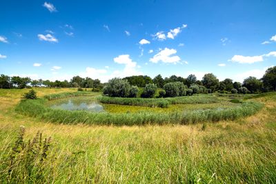 Rond Fort Everdingen