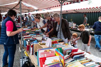 Rommelmarkt Zijderveld