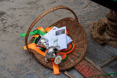 DSC06489.jpg