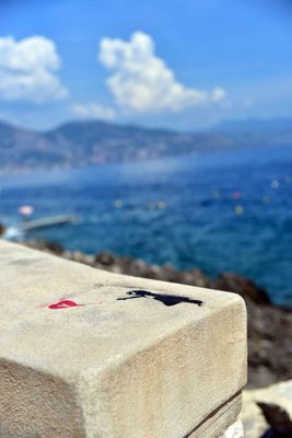 Spotted During Walk to Cap Martin