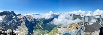 g13/21/62621/3/173896062.8d409833.JPEG