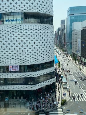 g13/21/62621/3/175664308.ae4909d3.JPEG