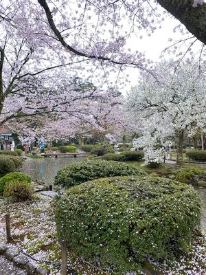 g13/21/62621/3/175664324.61a736e2.JPEG