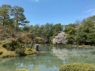 g13/21/62621/3/175664339.62b87847.JPEG