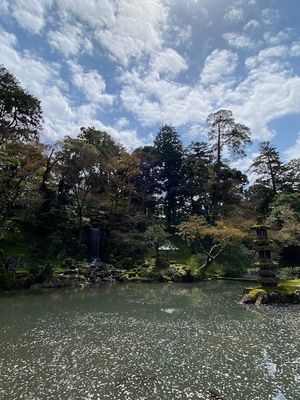 g13/21/62621/3/175664344.ec525273.JPEG