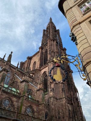IMG_2781.JPG