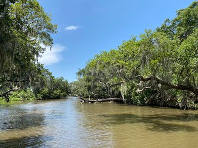 Cruising the Wetlands