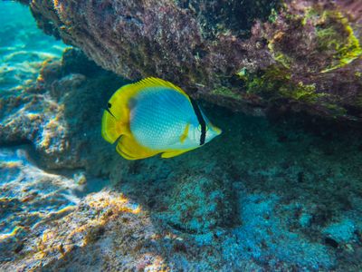 playa_del_carmen_2023