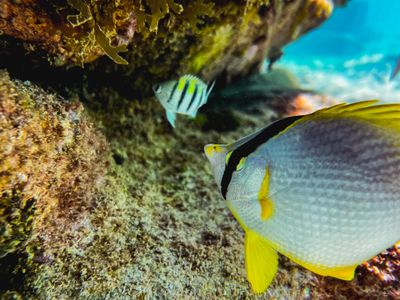 playa_del_carmen_2023