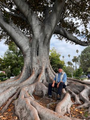 Beverly Hills, Californie, USA 