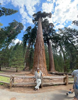 Squoia Naational Park, Californie, USA