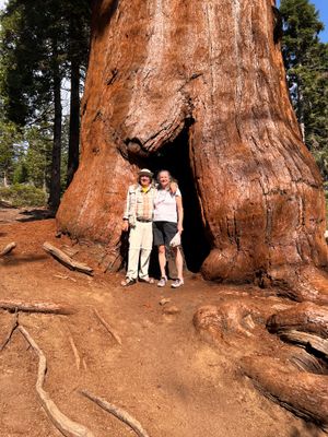 Squoia National Park, Californie, USA