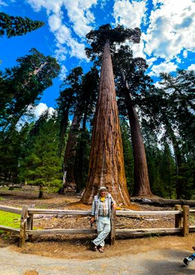 Squoia National Park