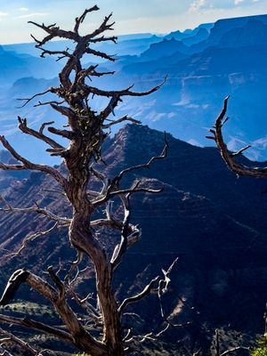 Grand Canyon National Park, USA 