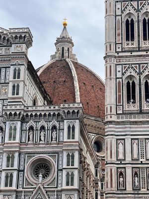 Domo Florence 1