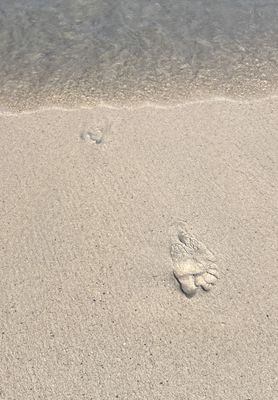 g13/21/767021/3/175106017.d9953f82.JPEG