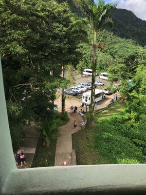 IMG_3761.jpeg