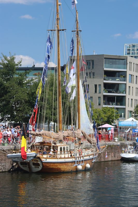 De Zomer van 2022 & '23 - 023.JPG