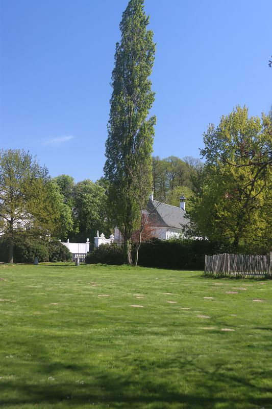 De Zomer van 2022 & '23 - 016.JPG
