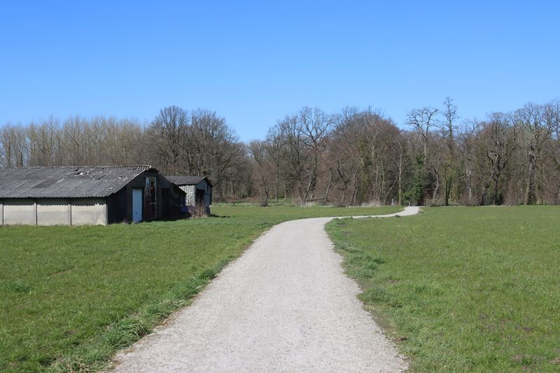 De Zomer van 2022 & '23 - 005.JPG