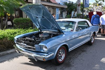 1965 Ford Mustang (1389)