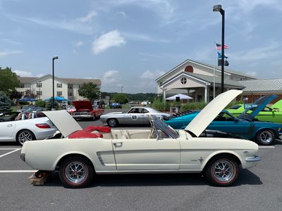 g13/21/783021/3/175234079.4f7ea280.JPEG