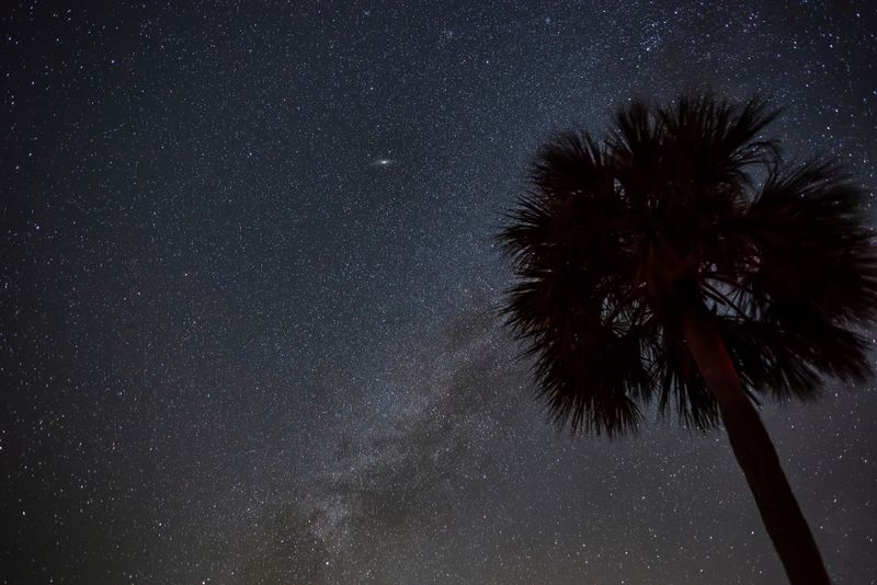 Andromeda and Sabal