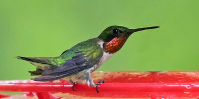 summer_and_fall_2025