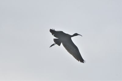 g13/22/1183022/3/173922619.2b731dca.JPEG
