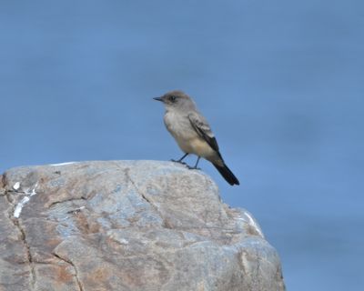 g13/22/1183022/3/174923248.fafe5b5c.JPEG