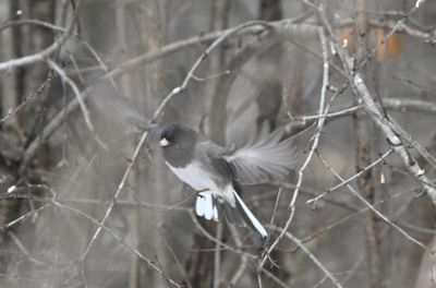 g13/22/1183022/3/175160931.2576a132.JPEG