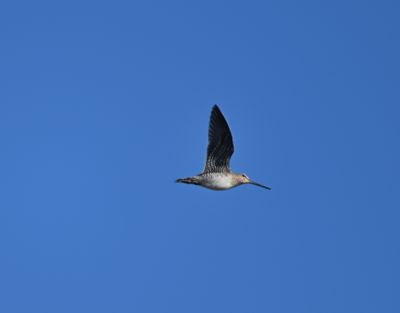 g13/22/1183022/3/175374948.e3ba6391.JPEG